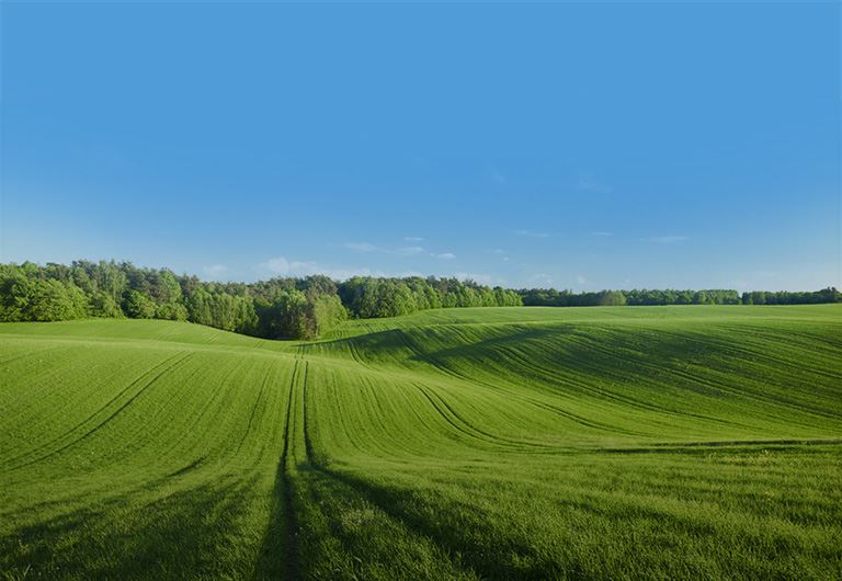 terrains à vendre